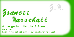 zsanett marschall business card